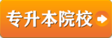橙2.png